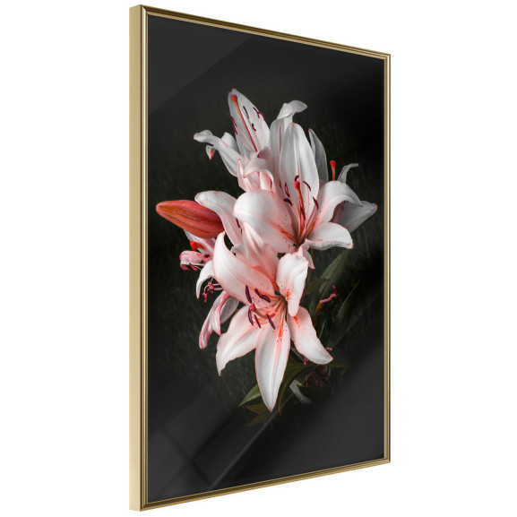 Poster Pale Pink Lilies