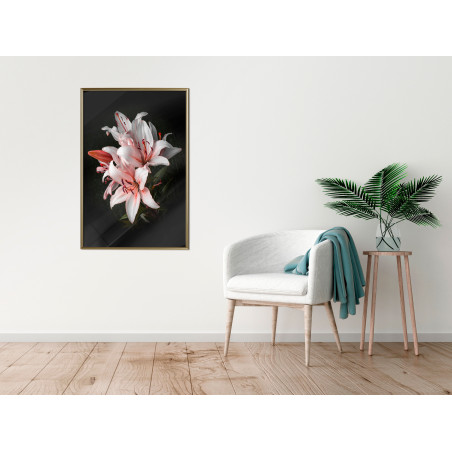 Poster Pale Pink Lilies-01