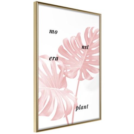 Poster Pale Pink Monstera-01