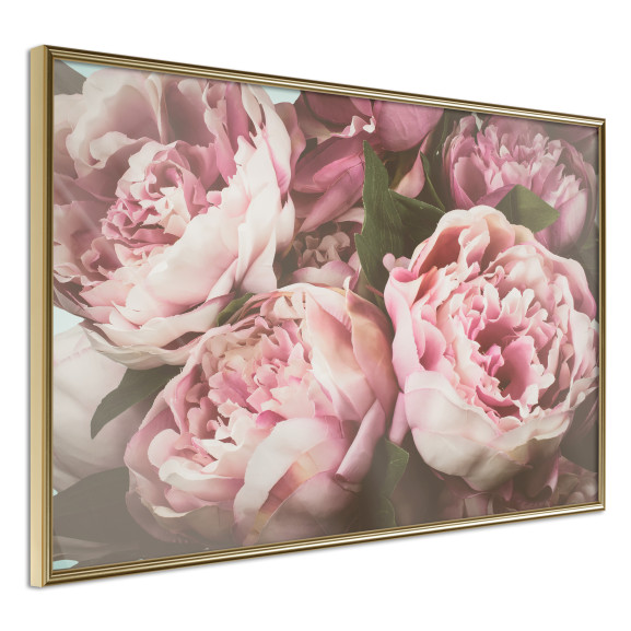 Poster Pastel Peonies