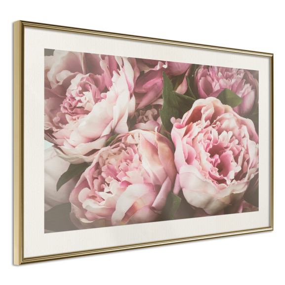 Poster Pastel Peonies