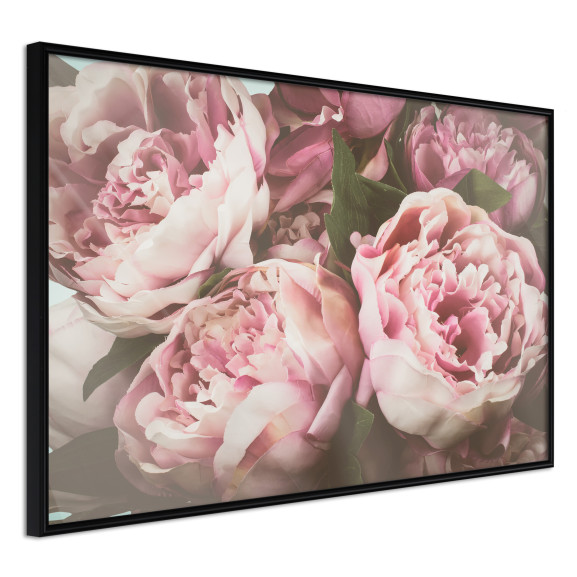 Poster Pastel Peonies