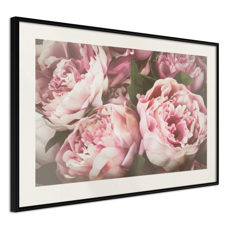 Poster Pastel Peonies-01