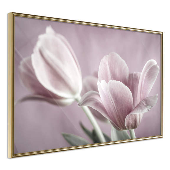 Poster Pastel Tulips I