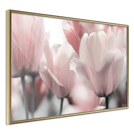 Poster Pastel Tulips II-01