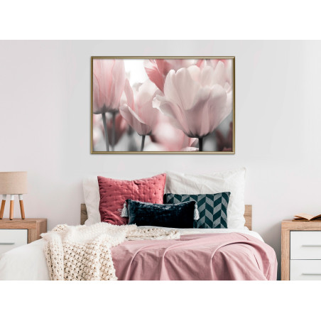 Poster Pastel Tulips II-01