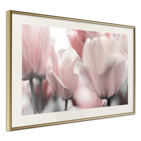 Poster Pastel Tulips II-01