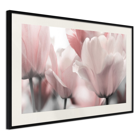 Poster Pastel Tulips II-01