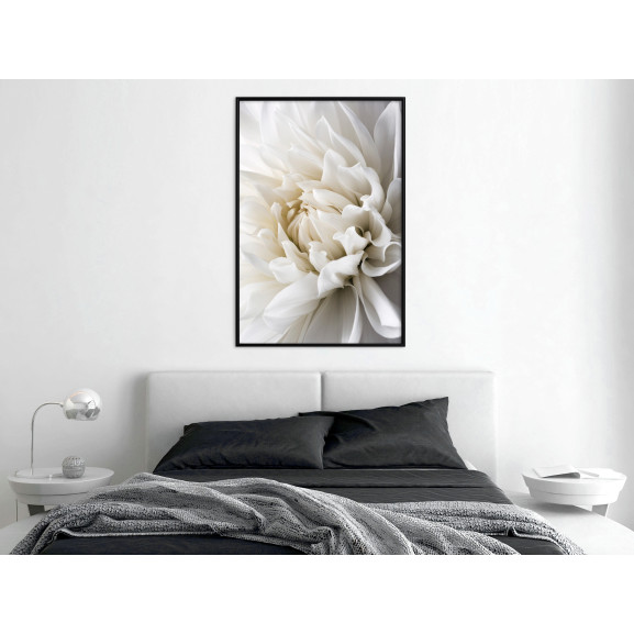 Poster Peace of Mind