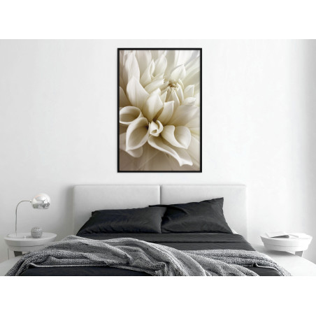 Poster Peace of Soul-01