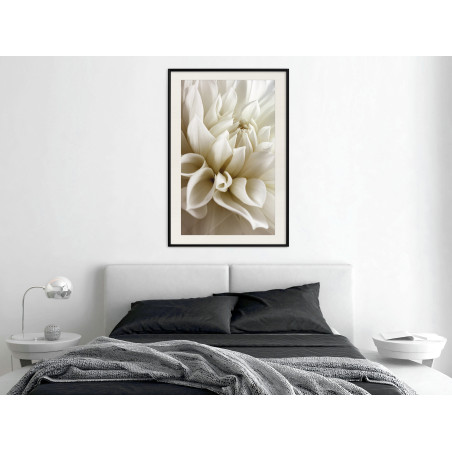 Poster Peace of Soul-01