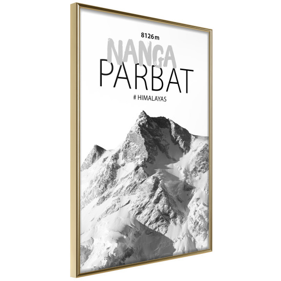 Poster Peaks of the World: Nanga Parbat
