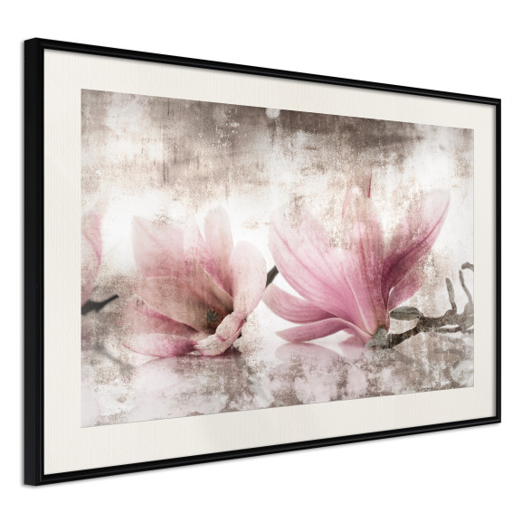 Poster Picked Magnolias