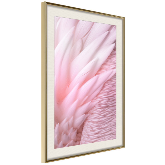 Poster Pink Feathers