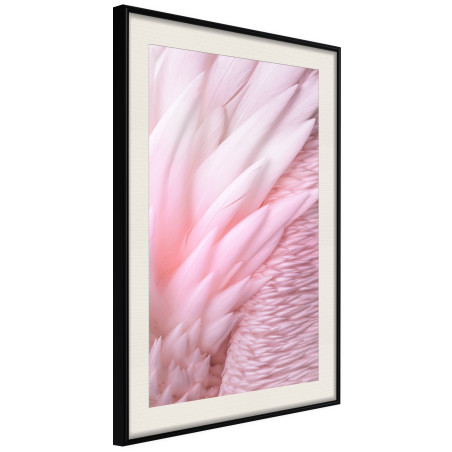 Poster Pink Feathers-01