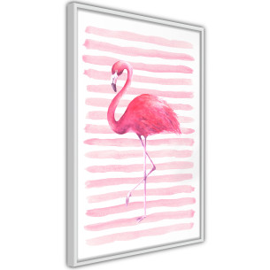 Poster Pink Madness