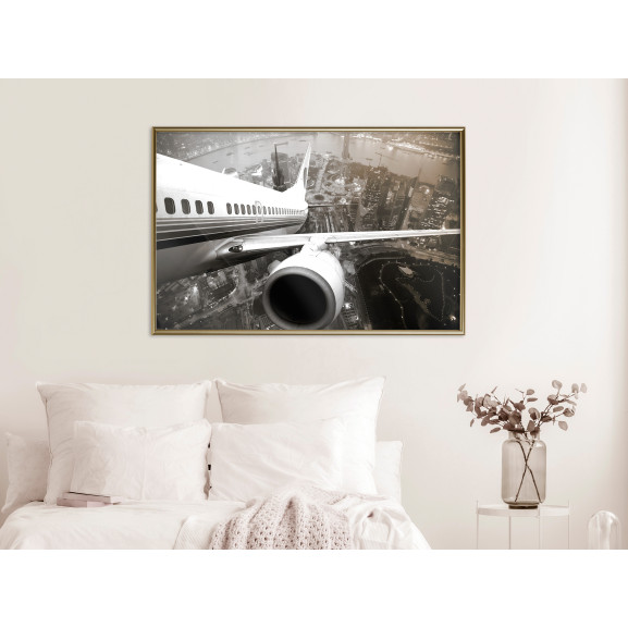 Poster Plane Wing