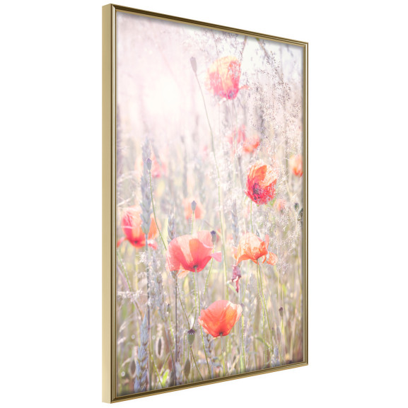 Poster Poppies