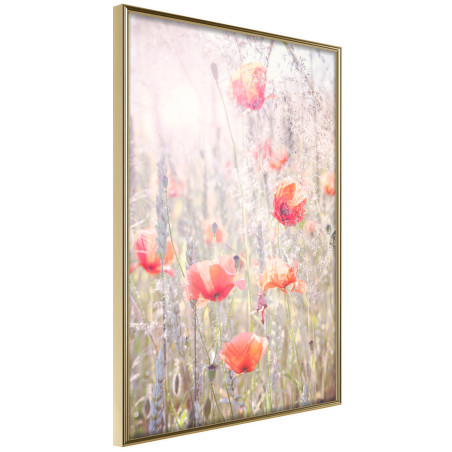 Poster Poppies-01