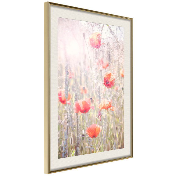 Poster Poppies