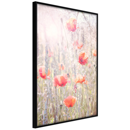 Poster Poppies-01