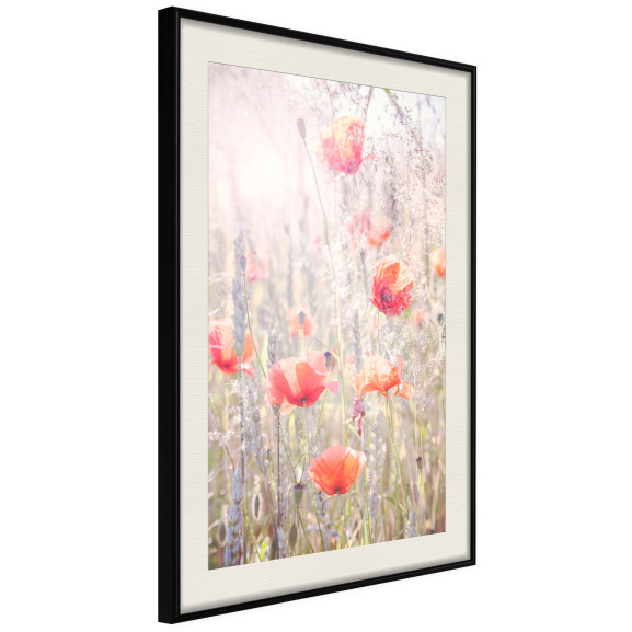 Poster Poppies