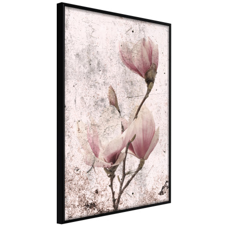 Poster Queen of Spring Flowers II-01