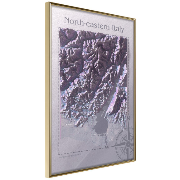 Poster Raised Relief Map: North-Eastern Italy