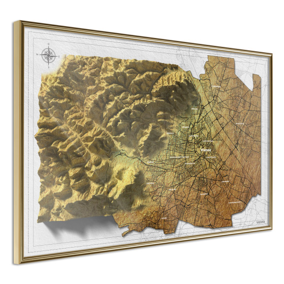 Poster Raised Relief Map: Vienna