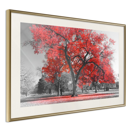 Poster Red Tree-01