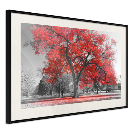 Poster Red Tree-01