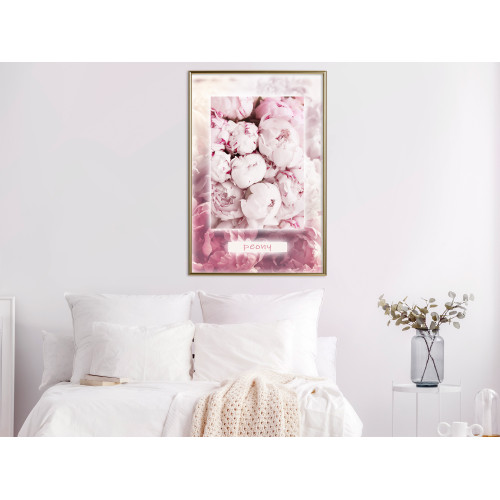 Poster Scent of Peonies