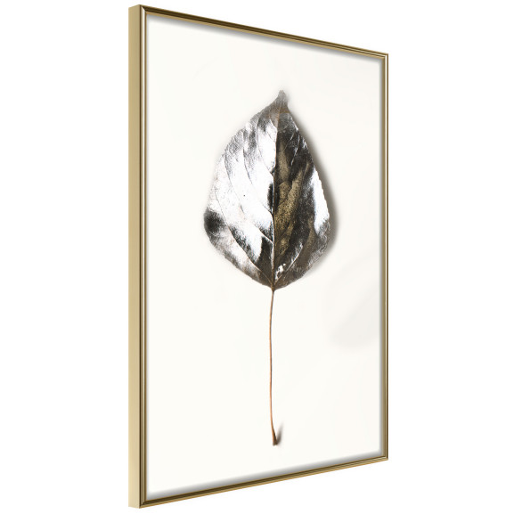 Poster Silvery Leaf