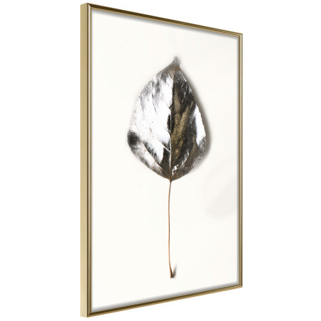 Poster Silvery Leaf-01