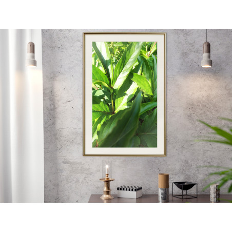 Poster Somewhere in the Garden-01