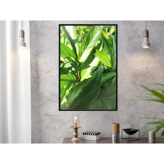 Poster Somewhere in the Garden