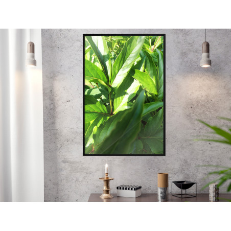 Poster Somewhere in the Garden-01