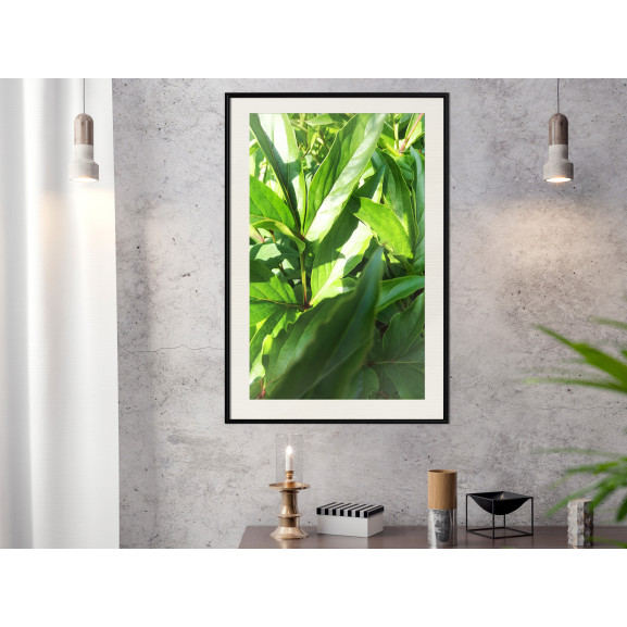 Poster Somewhere in the Garden