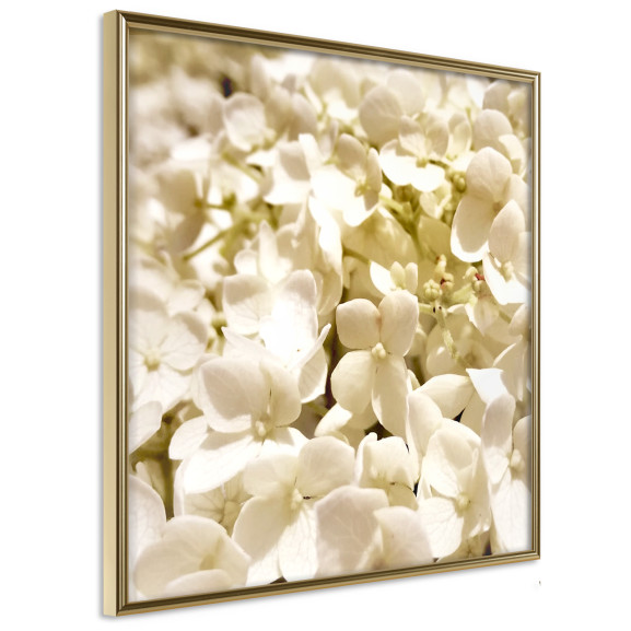 Poster Soothing Flowers