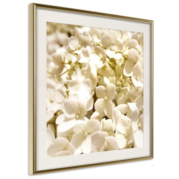 Poster Soothing Flowers