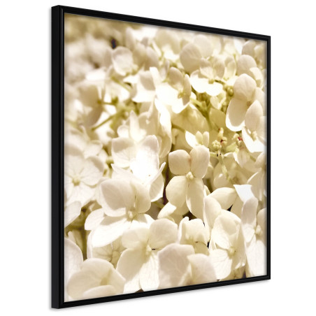 Poster Soothing Flowers-01