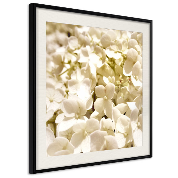 Poster Soothing Flowers