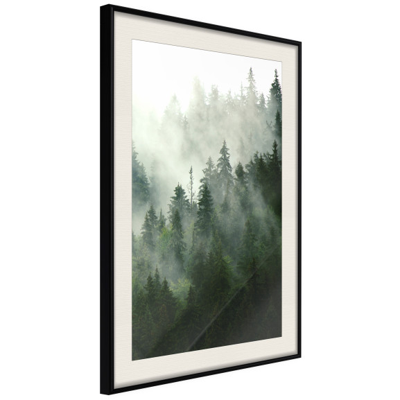 Poster Steaming Forest
