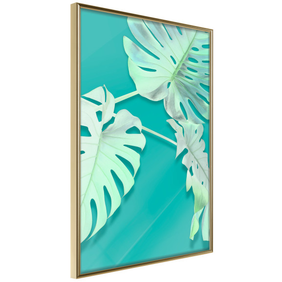 Poster Teal Monstera