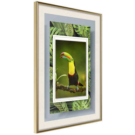 Poster Toucan in the Frame-01