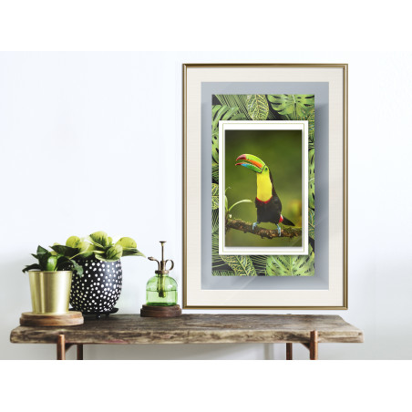 Poster Toucan in the Frame-01