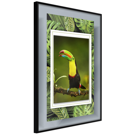 Poster Toucan in the Frame-01