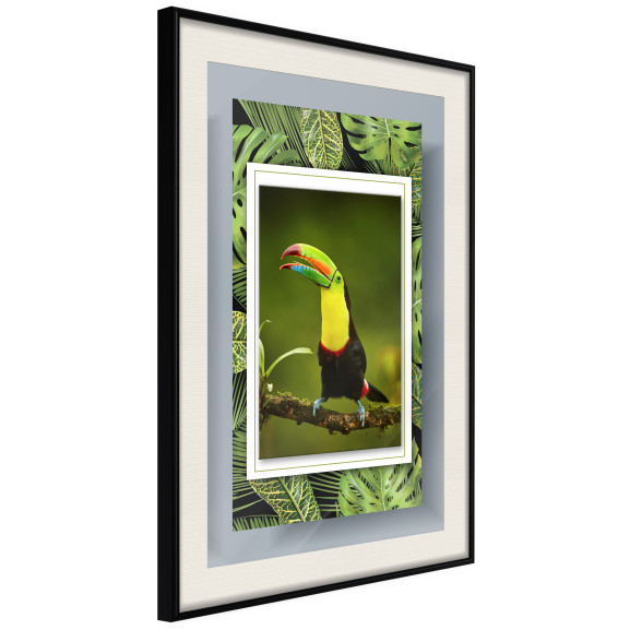 Poster Toucan in the Frame