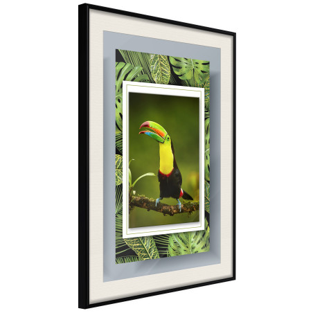 Poster Toucan in the Frame-01