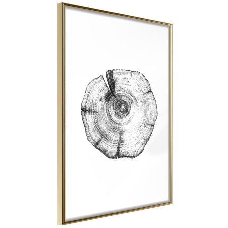 Poster Tree Rings-01